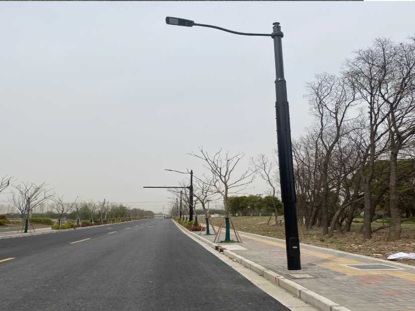 前进区上海综合杆 太阳能路灯工程
